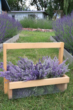 Load image into Gallery viewer, Dried English Lavender Bunch
