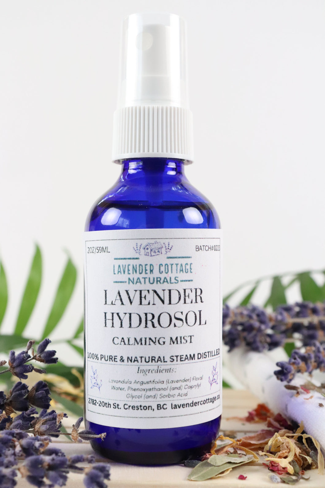 Lavender Hydrosol - Wholesale (6 Bottles)